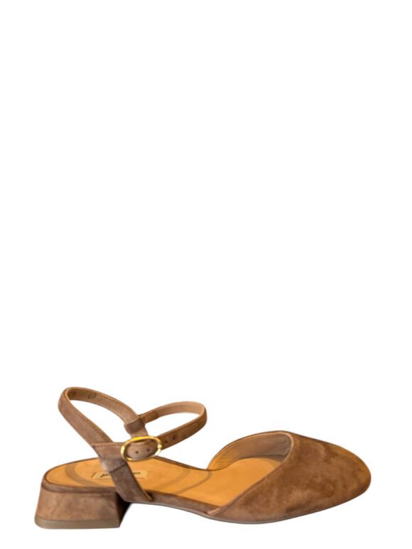 PAUL GREEN - modesko