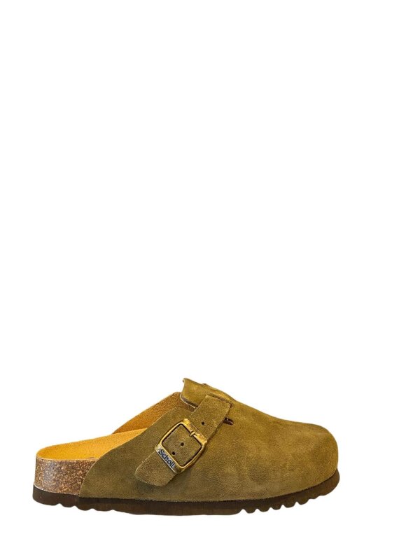 SCHOLL - Scholl FAE